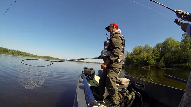 Плохой подсак смотреть онлайн