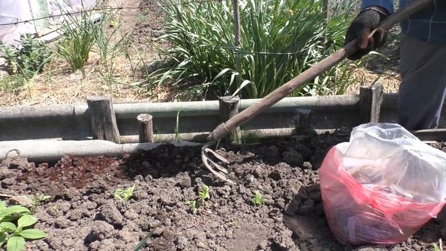 Строймарафон