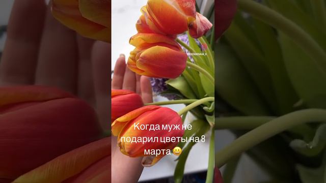 Когда муж не подарил цветы на 8 марта 😀