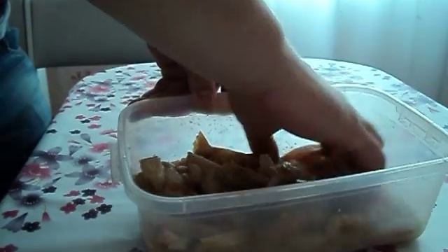 Интересные Факты о Животных