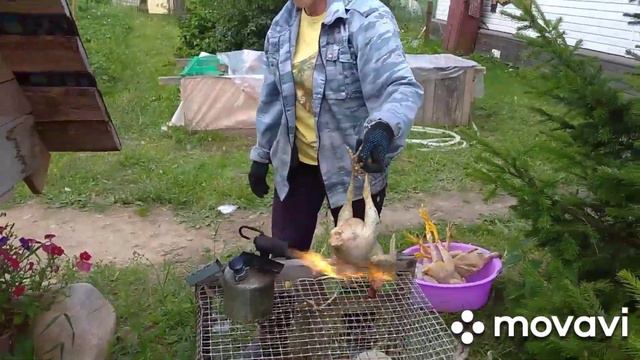 Забой домашней птицы.