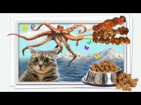 Хуньчунь/На рынке еды с Русланом/Распаковка загадочных посылок/Шведский стол Пильшен/KIKI/02.08.2024