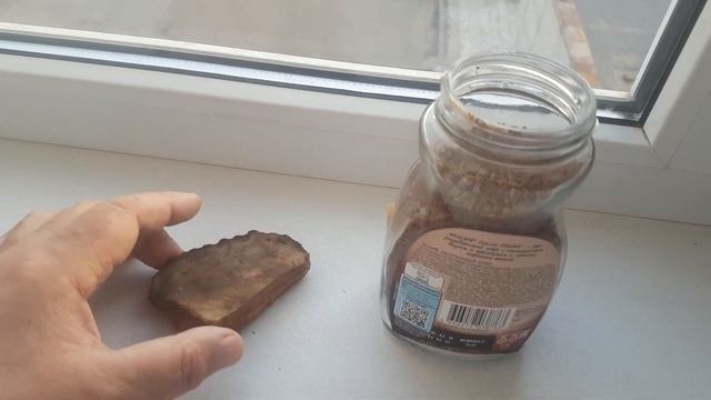 Трутовик Плоский Ganoderma applanatum применение в качестве жаропонижающего средства. смотреть онлайн