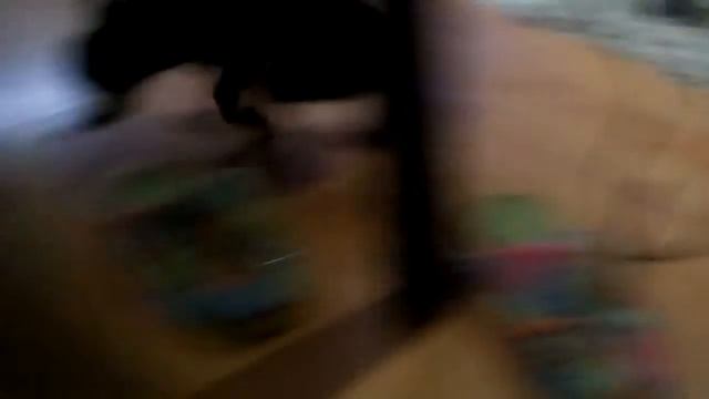 Самое няшное животное смотреть онлайн