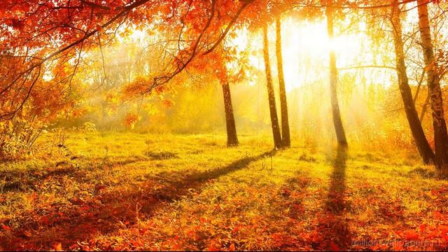 Maxim Goryachev - Autumnal swelter (piano+cello) (432) смотреть онлайн