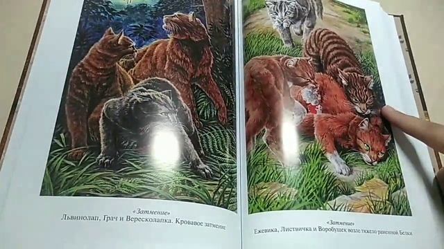 Обзор серии книг "Коты - воители. Золотая серия."(Эрин Хантер) смотреть онлайн