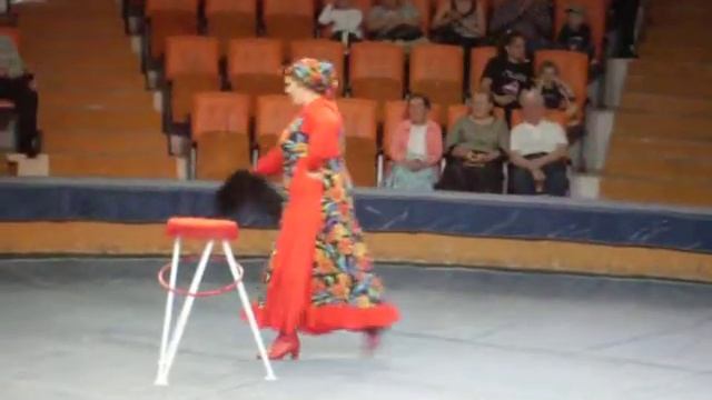 Новая программа Астраханского цирка с 15 сентября. смотреть онлайн