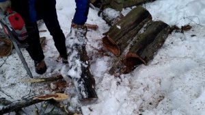 Бензопила Ресанта БП-6220 в работе l Спил старого дерева