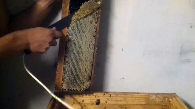 Пчеловодный электронож Гуслия смотреть онлайн