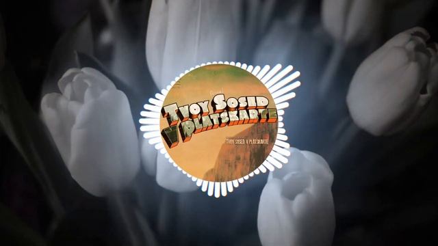 НАТАША КОРОЛЁВА - ЖЁЛТЫЕ ТЮЛЬПАНЫ [REMIX] смотреть онлайн