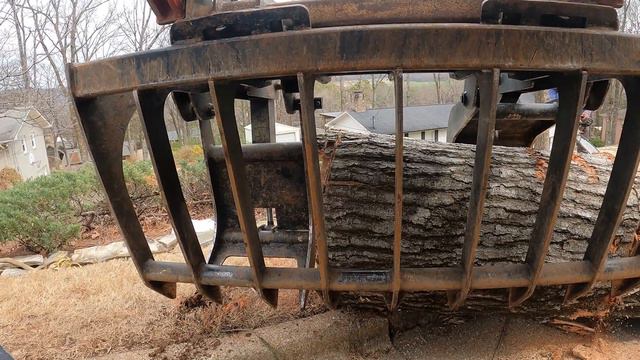 Satisfying Emergency Tree Removal смотреть онлайн