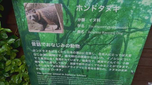 青春18きっぷ / 福島から東京へ寄り道して帰る | 磐越東線に乗ってアクアマリンふくしまへ смотреть онлайн