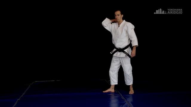 How to do Mae Ukemi, Front Roll - Aikido Ukemi Tutorial смотреть онлайн