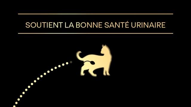 PURINA® PROPLAN® Cat Sterilised смотреть онлайн