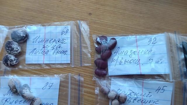 Какую фасоль я буду выращивать в 2022 году. Часть 2