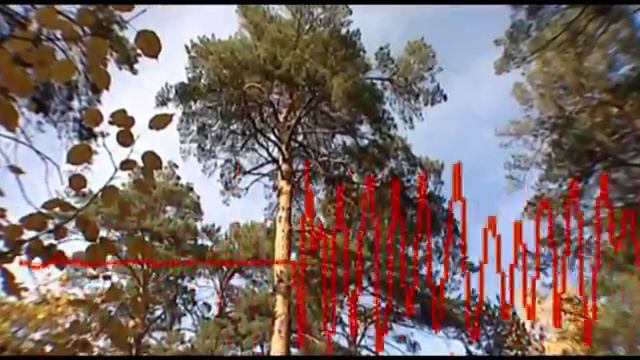 Лучший ролик со Всероссийского открытого конкурса социальной рекламы _Сохраним леса от пожаров_ (2) смотреть онлайн