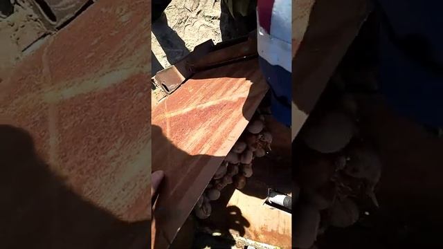 самодельная картофелесажалка. Начало сезона 2020 смотреть онлайн