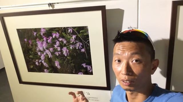20一葉蘭 смотреть онлайн