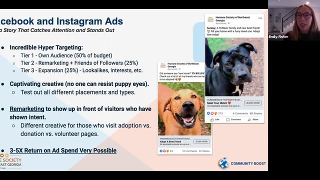 It's Raining Cats And Donations: How To Create A Purrfect Digital Strategy For Your Humane Society