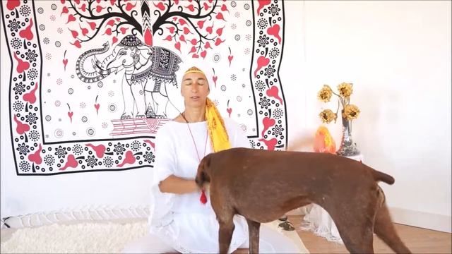 Chatra Chakra Varti смотреть онлайн