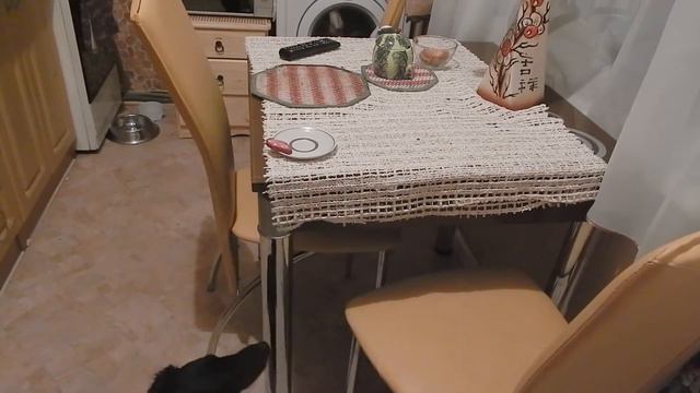 Смешные домашние животные 2015/ Funny pets 2015 смотреть онлайн