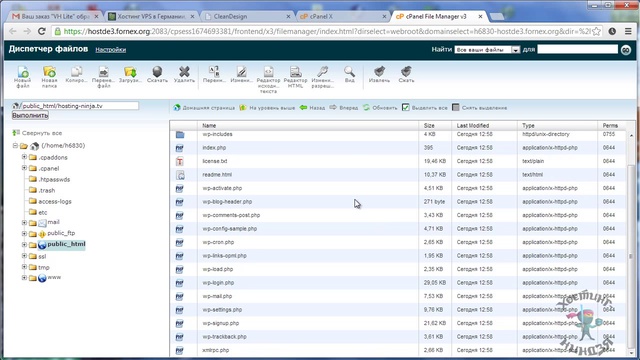 Хостинг Fornex. Устанавливаем Wordpress. смотреть онлайн