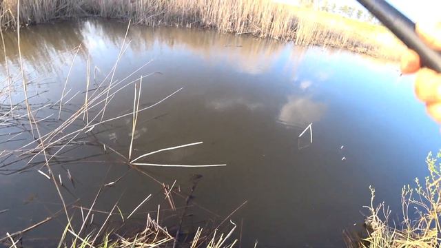 ЛОВЛЯ КАРАСЯ в МАЕ!ТОЛЬКО ЗАБРАСЫВАЕШЬ СРАЗУ ТОПИТ! смотреть онлайн