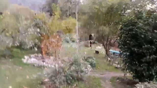 ВФ Сочи усадьба Кошмана смотреть онлайн