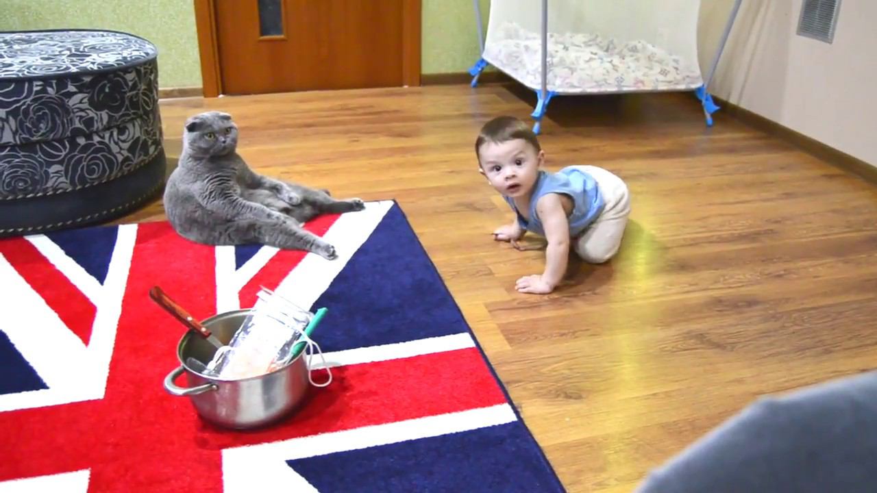 Кото-нянька смотреть онлайн