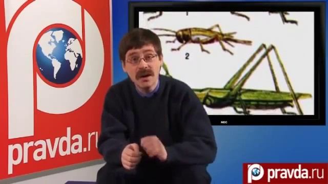 Саранча нашествия и загадки смотреть онлайн