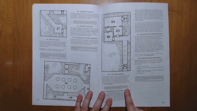 Tomb of the Serpent Kings: OSR DnD Dungeon Review смотреть онлайн