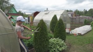 6 соток 3 июня 2023 года. Хроника.