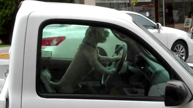 А ну, с дороги все! смотреть онлайн