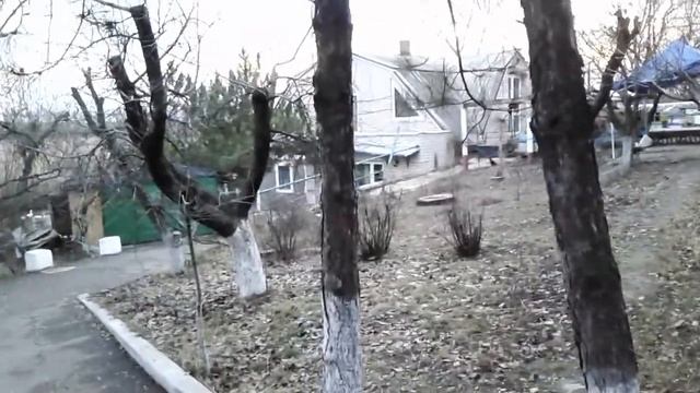 ПОЗДНЯЯ ОСЕНЬ ...ГРАЧИ УЛЕТЕЛИ... смотреть онлайн