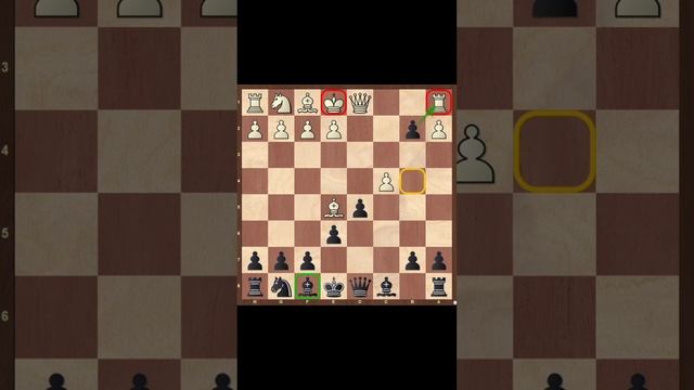 Шахматы для начинающих смотреть онлайн