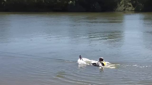 Water skiing - how to deep water slalom start (please read text below) смотреть онлайн