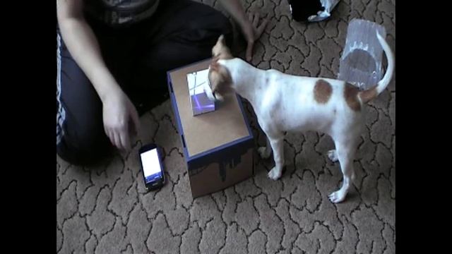 Bluetooth колонка Qone7 смотреть онлайн