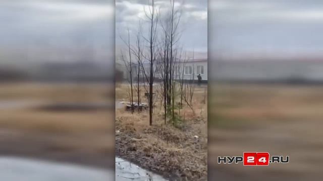 В православную гимназию Ноябрьска ударила молния смотреть онлайн