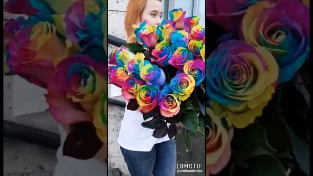 Радужные розы ЧЕЛНЫ-ЦВЕТЫ 28/08 смотреть онлайн