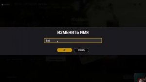 Смена ника в PUBG