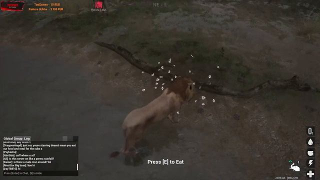 ANIMALIA SURVIVAL . СТРИМ.В МИРЕ ЖИВОТНЫХ!