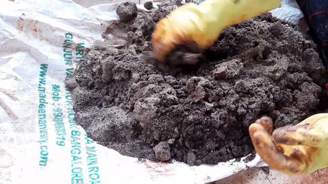 Adenium or Desert Rose Repotting | Potting mix of Adenium or Desert Rose смотреть онлайн