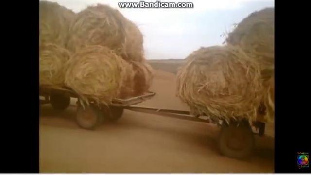 Татарские приколы!!