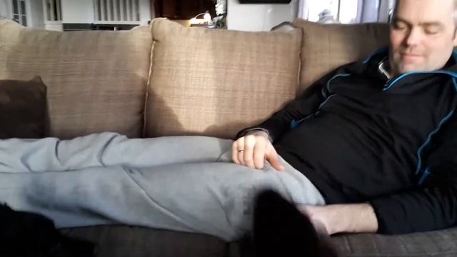 Norwegian otter 2 смотреть онлайн