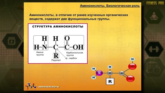 Польза АВОКАДО смотреть онлайн