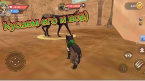 БАГ КАК ПОБЕДИТЬ АНУБИСА В WILDCRAFT!