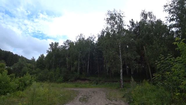 VLOG шикарная природа/красивое озеро и дикие утки/дача в Листвягах/ ASMR смотреть онлайн