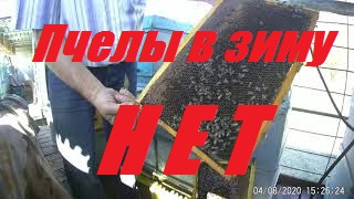 Кто будет зимовать после 3 месячной жары и засухи.105 дней без дождя. смотреть онлайн