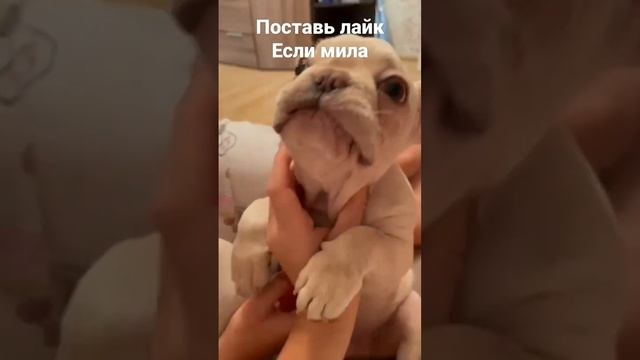 18 августа 2022 г. смотреть онлайн
