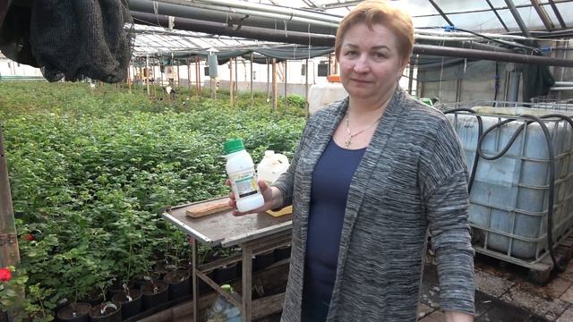 Наш метод борьбы с тлёй - АКТАРА! смотреть онлайн